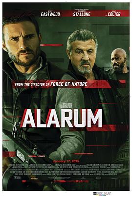 警报战(电影下载)Alarum