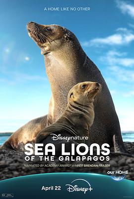 海狮利奥环岛记Sea Lions Of(4K电影下载)Sea Lions of the Galápagos