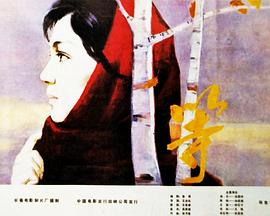 等(1080P电影下载)