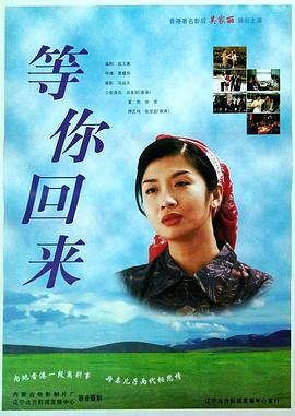 等你回来(1080P电影下载)